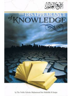 The Disappearance of Knowledge PB